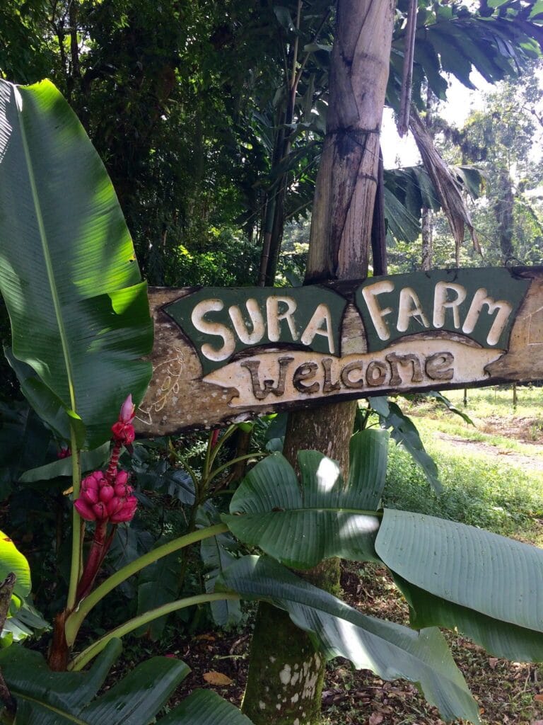 Nuestra Historia 8 photo4jpg