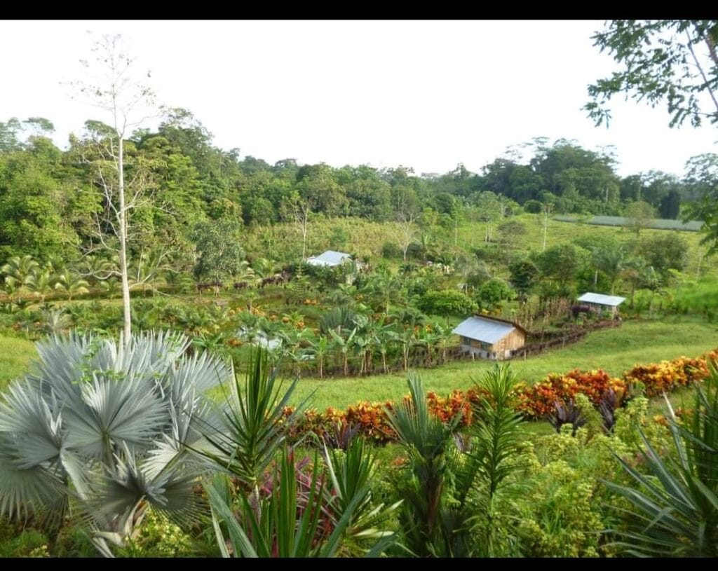 Nuestra Historia 2 IMG 20231005 WA0308